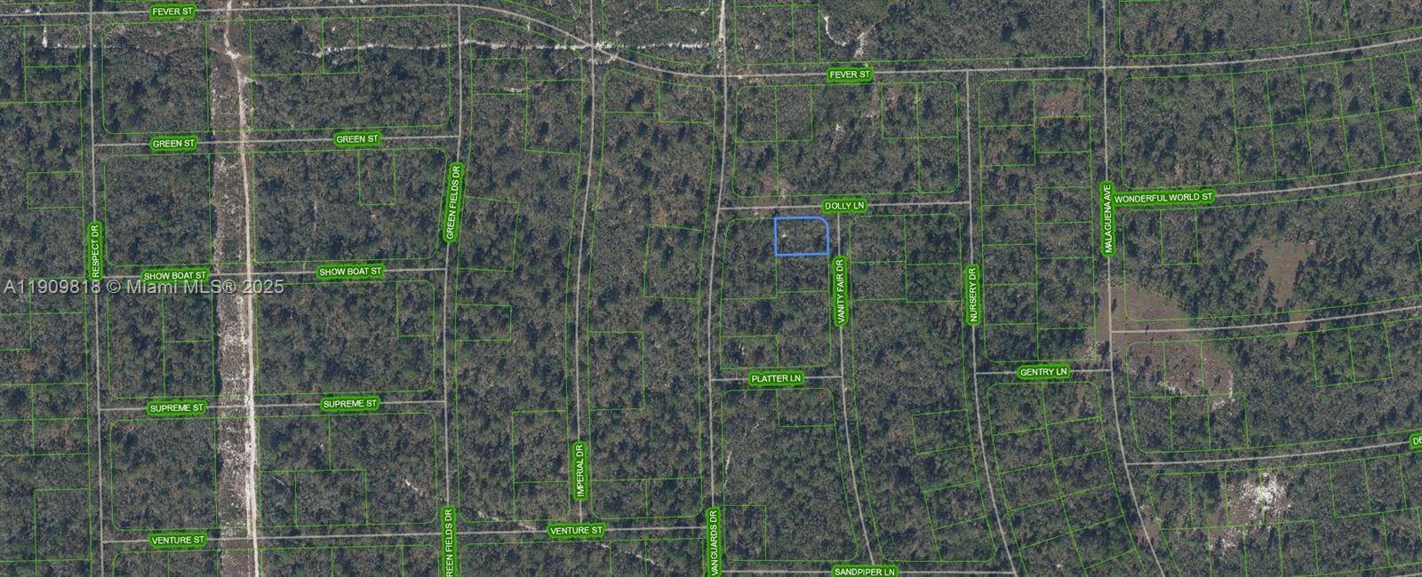 Lake Placid, FL 33852,305 Dolly Lane