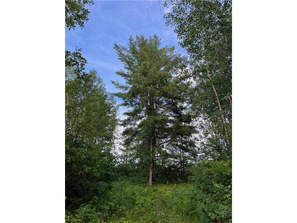 Minong, WI 54859,W39XX Frog Creek Road