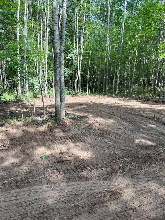 Danbury, WI 54830,XXXX Kielkucki Trail Lot 3