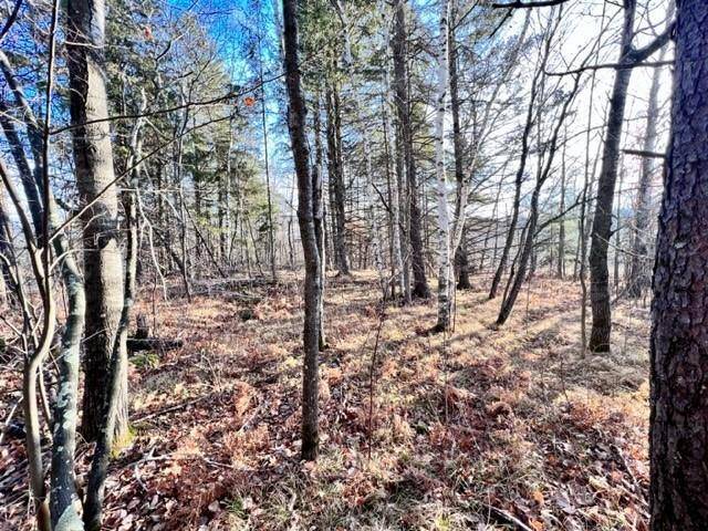 Hayward, WI 54843,Lot 36 Hatchery Road