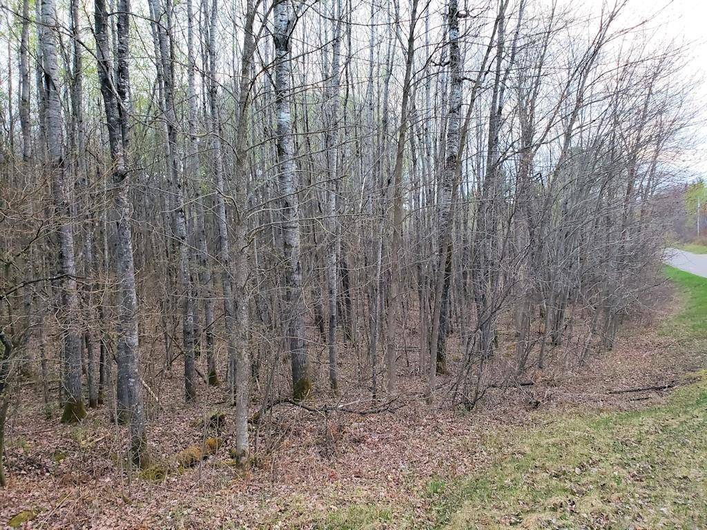 Hayward, WI 54843,Lot 1 W Nelson Lake Road