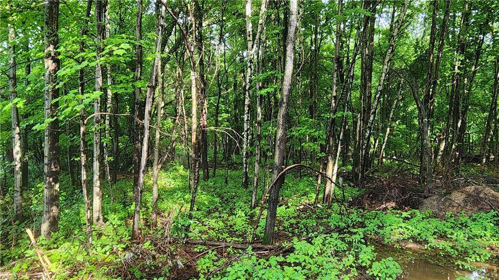 Elk Mound, WI 54739,Lot 1 (10.64 Acres) County Road M