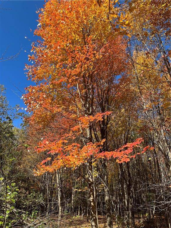 Elk Mound, WI 54739,lot 4(6.05 Acres) County Road M Highway