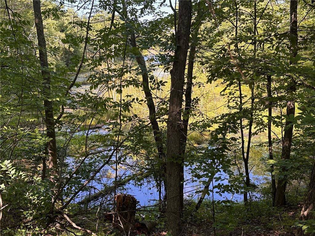 Hayward, WI 54843,Lot 1 Oriole Lane