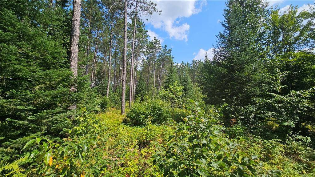 Hayward, WI 54843,Lot 92 Haakan Lane