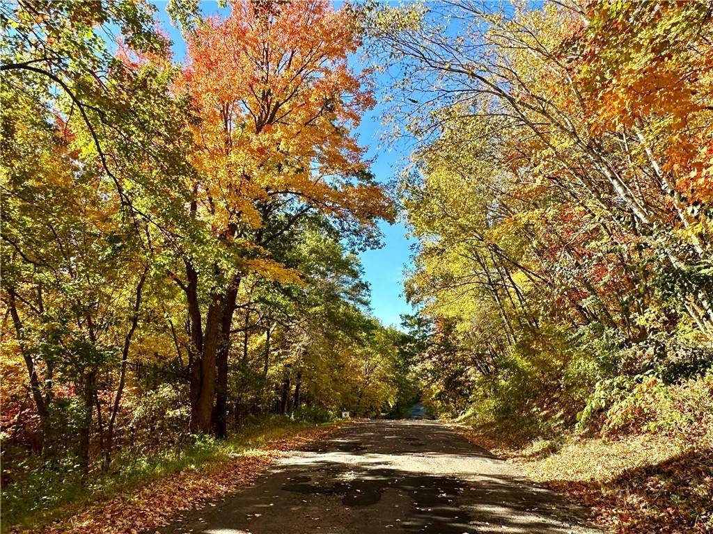 Elk Mound, WI 54739,E9606 (20 acres) 740th Avenue