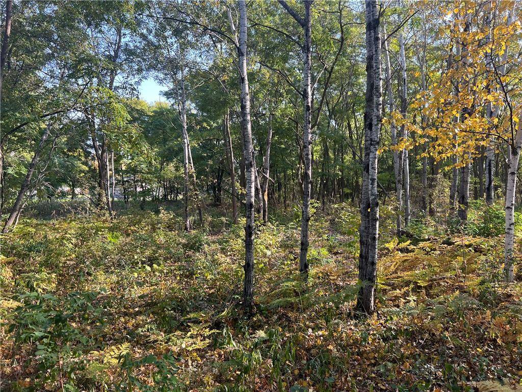 Spooner, WI 54801,Lot 1 Pet Road