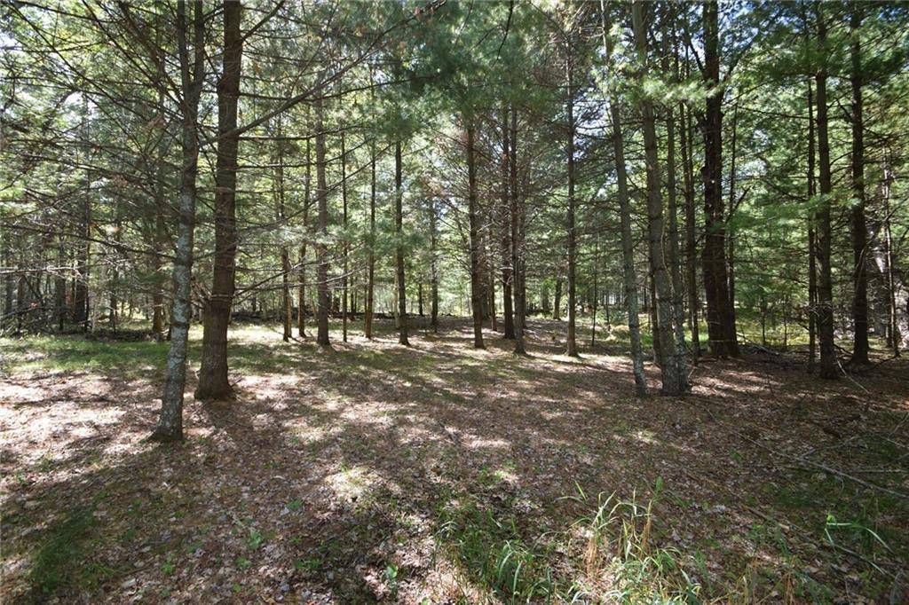 Webster, WI 54893,Lot #2 Olsen Road