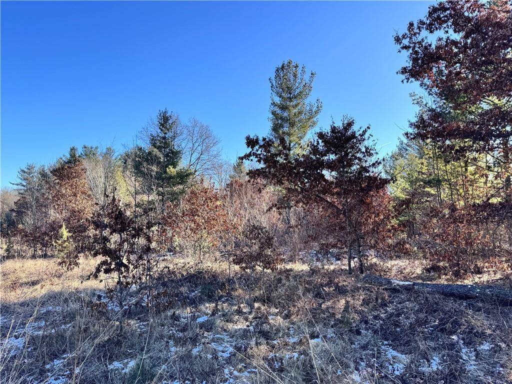 Fall Creek, WI 54742,Lot 1 Olsen Drive