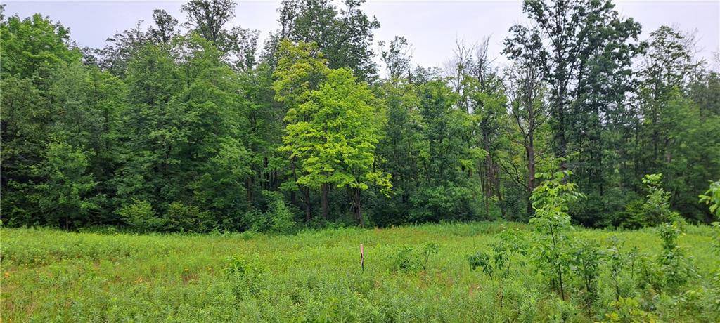 Stone Lake, WI 54876,Lot 4 Musky Point Drive