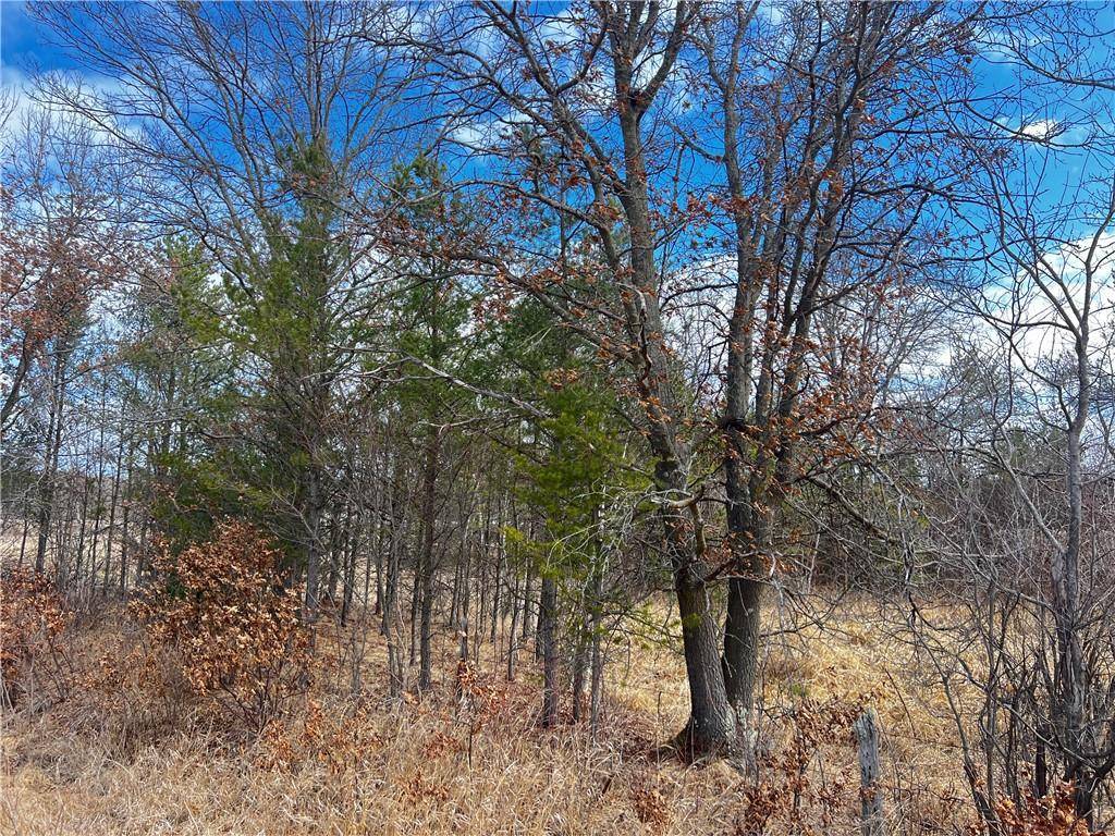 Fairchild, WI 54741,N14084 Price Road