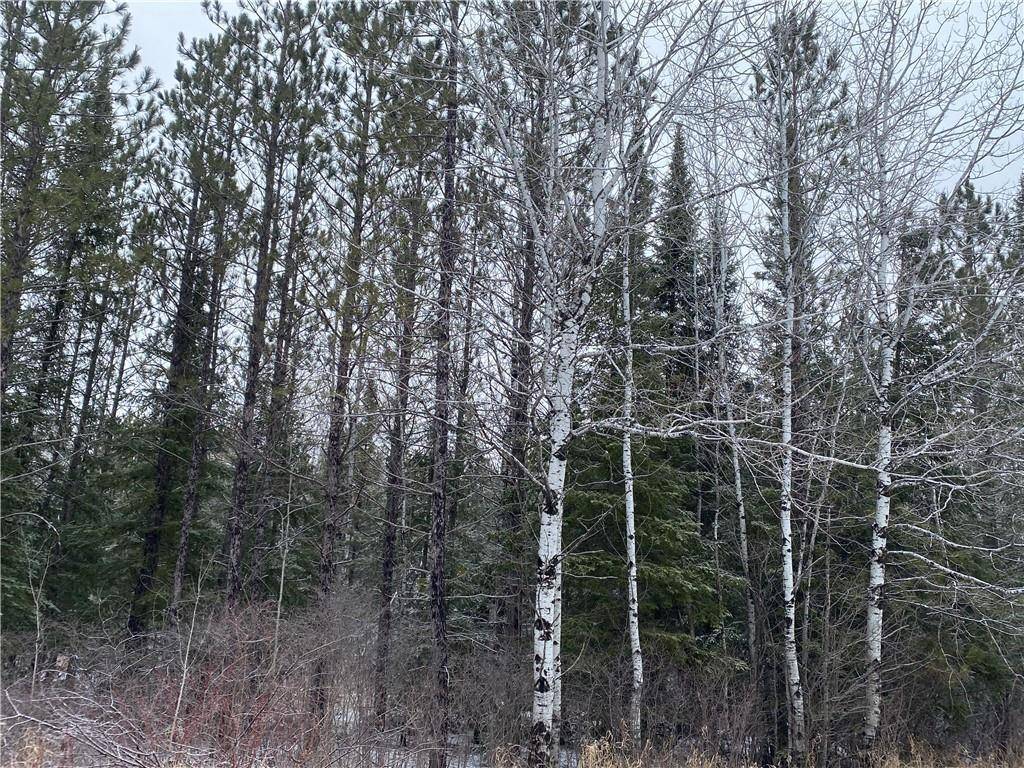 Port Wing, WI 54865,On Sorenson Road
