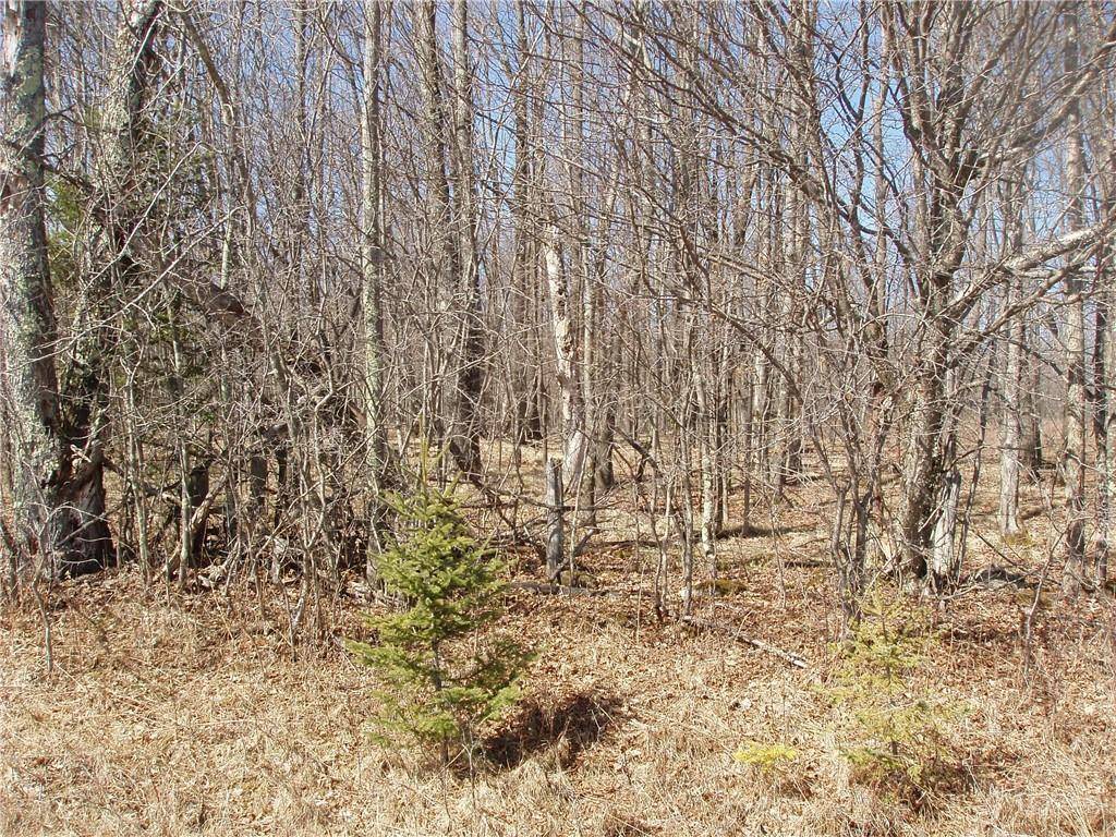Park Falls, WI 54552,Lot 14 4th Add. Margaret Lane