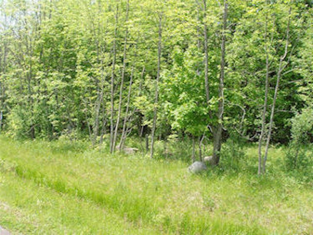 Park Falls, WI 54552,Lot 13 Margaret Lane