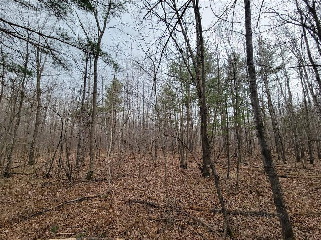 Exeland, WI 54835,ON Poradish Road