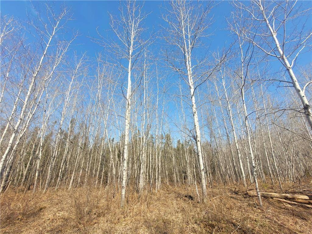 Loretta, WI 54896,Near Knowles Road