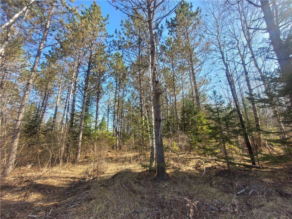 Loretta, WI 54896,Near Knowles Road