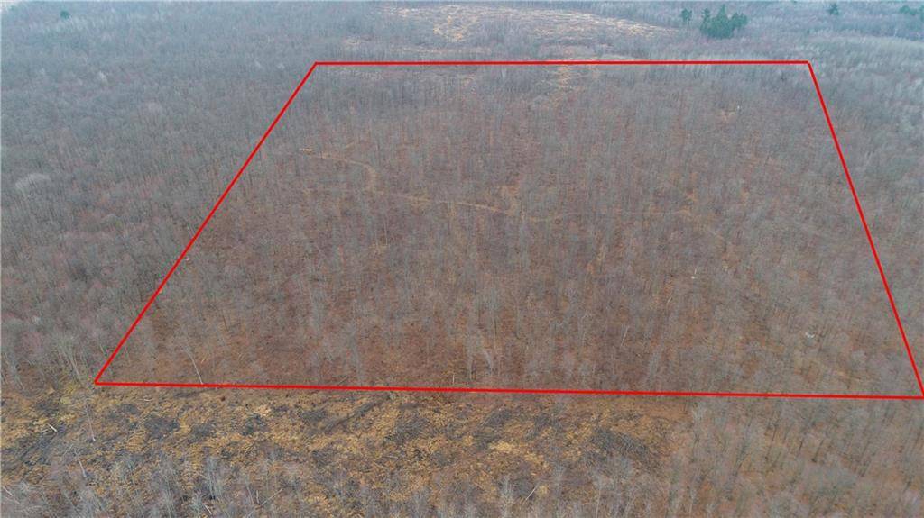 Thorp, WI 54771,40 Acres Dickerson Avenue