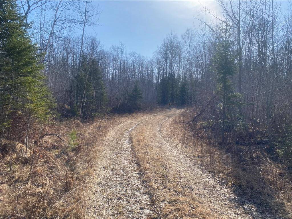 Park Falls, WI 54552,ON S Buckhorn Road