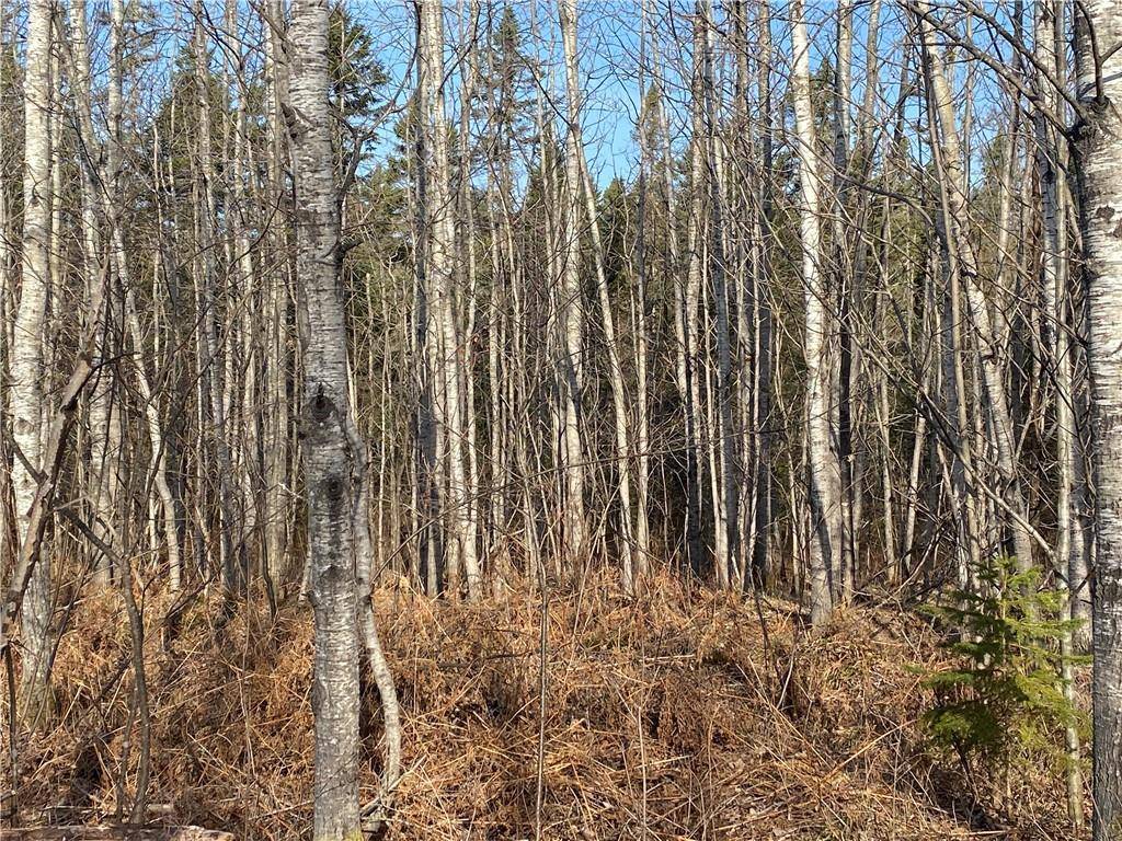 Butternut, WI 54514,Near Bear Lake Road