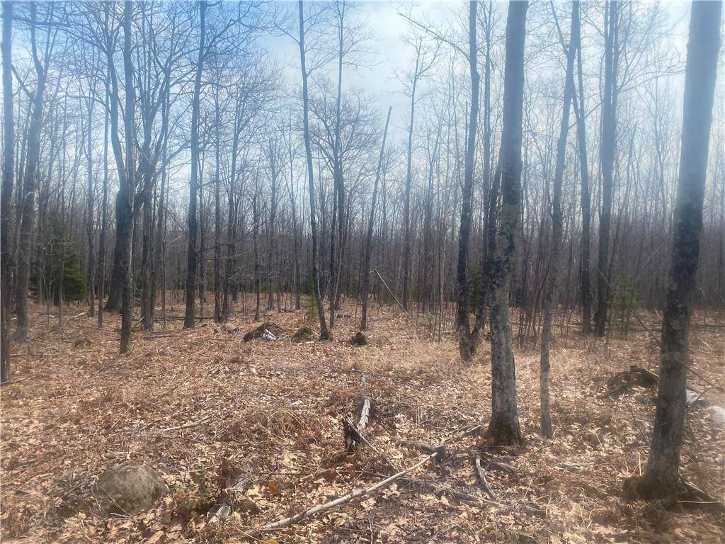 Herbster, WI 54844,TBD Old 13 Road