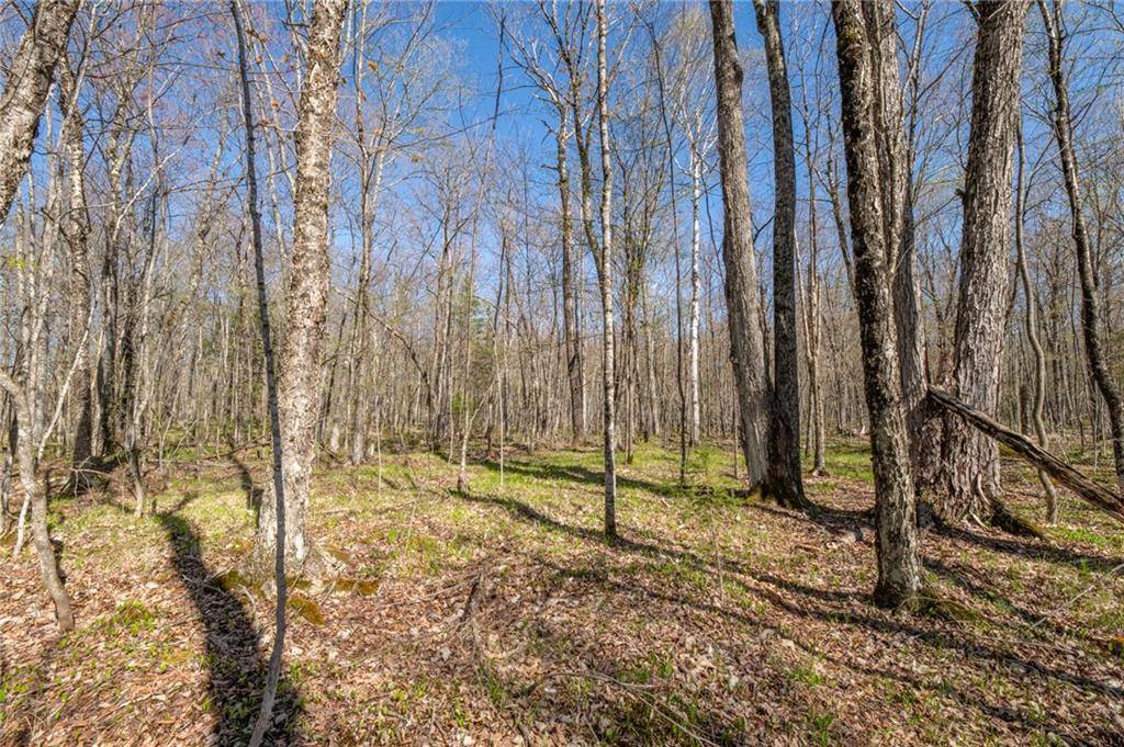 Hayward, WI 54843,0 Olson Road