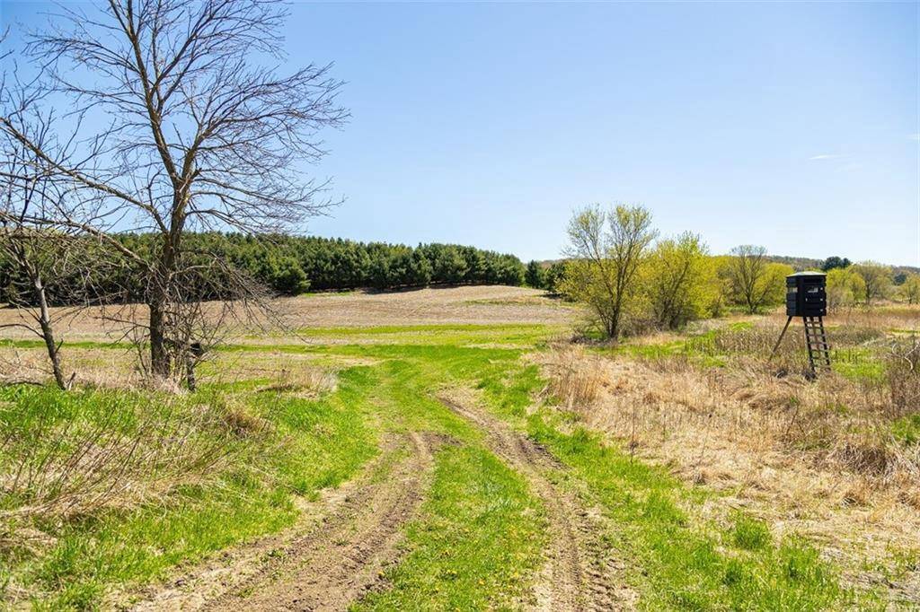 Mondovi, WI 54755,W1349 Hurlbert Road