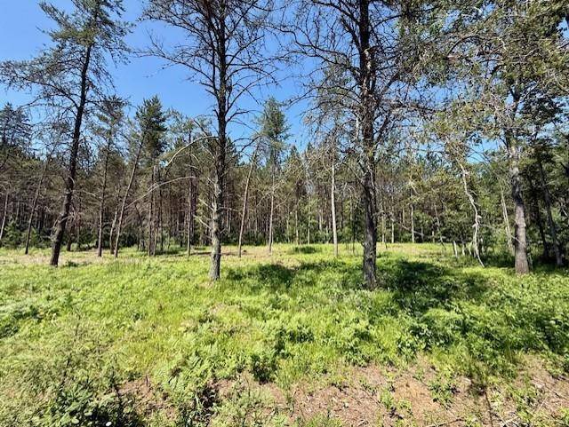 Hayward, WI 54843,Lot 72 Phipps Road