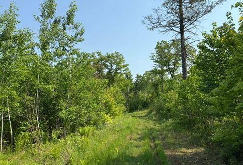 Dairyland, WI 54830,TBD County Road T