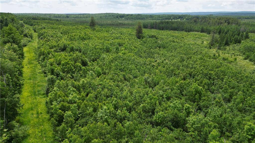Radisson, WI 54867,80 Acres Off of Hwy 40