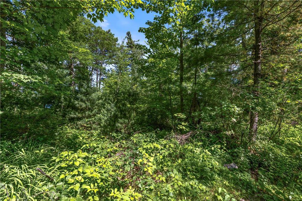 Hayward, WI 54843,14288 W Poplar Lane