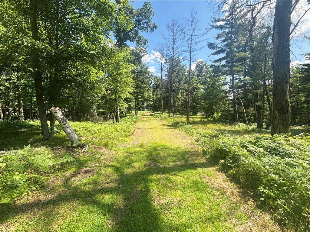 Chetek, WI 54728,XX 9 3/4 Avenue