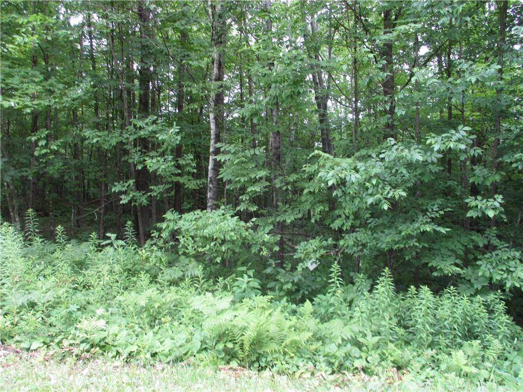 Birchwood, WI 54817,LOT #99 Woods Avenue