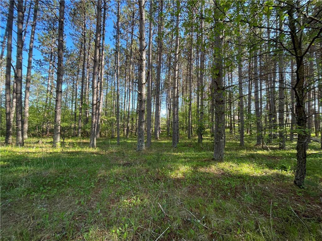 Hayward, WI 54843,Lot 3 Murphy Boulevard