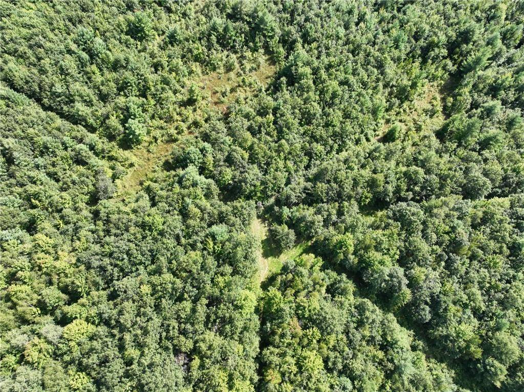 Neillsville, WI 54456,0 Hwy 10 Highway