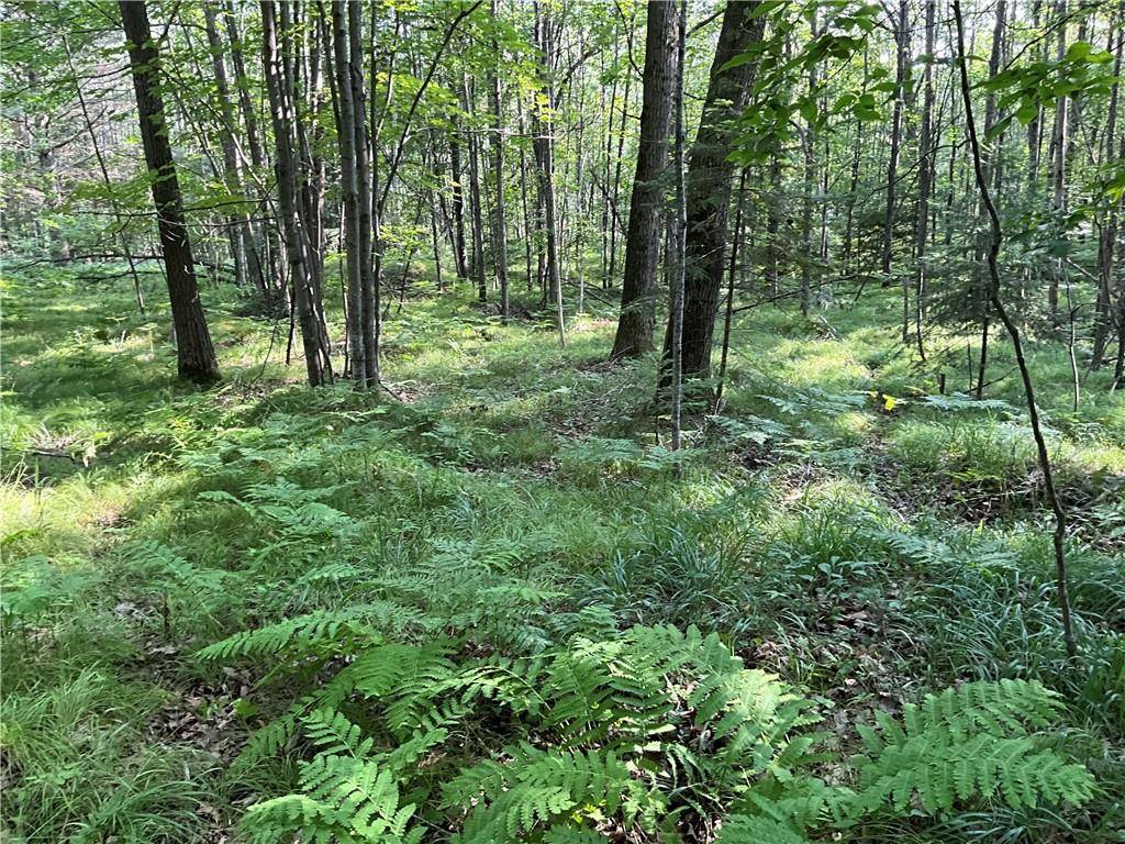 Hayward, WI 54843,Lot 3 Falcon Ridge