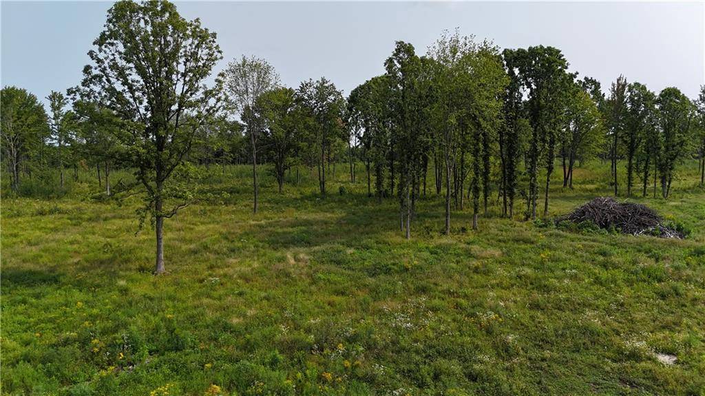 Holcombe, WI 54745,19 acres (+/-) County Highway G