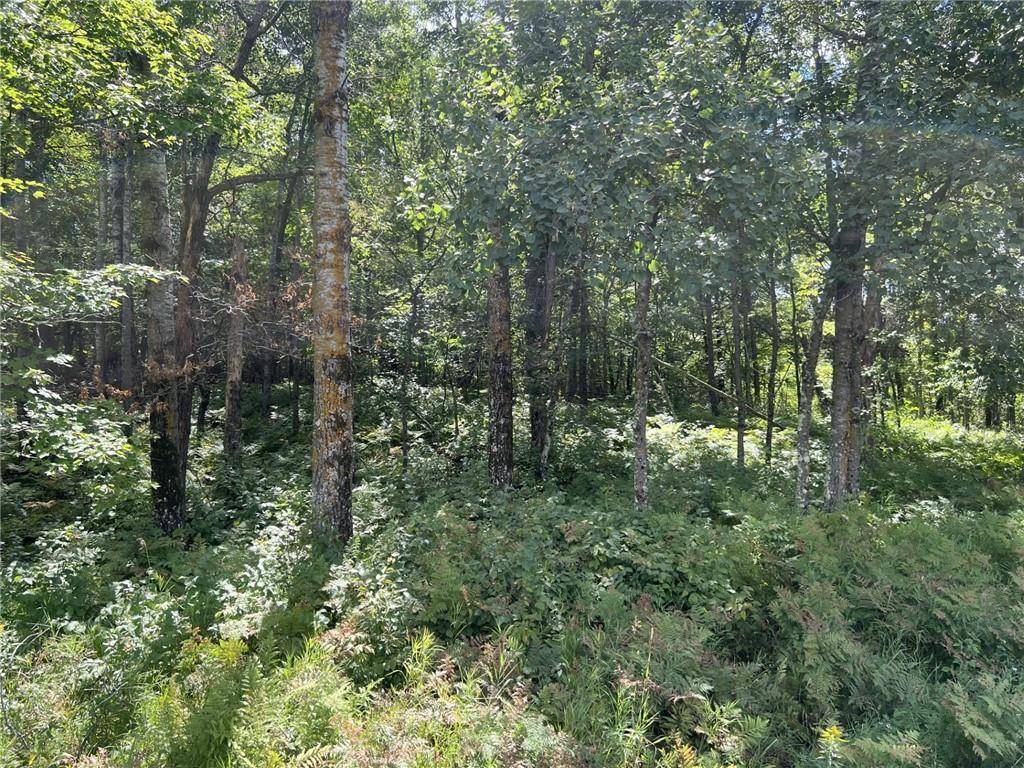 Siren, WI 54872,XXXX County Road B