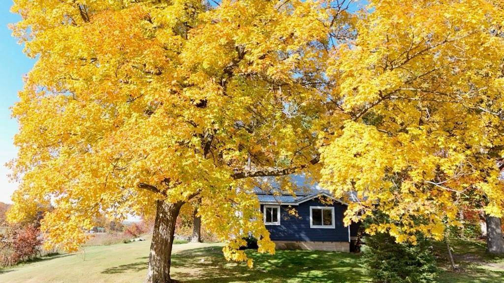 Amery, WI 54001,1395 US Highway 8