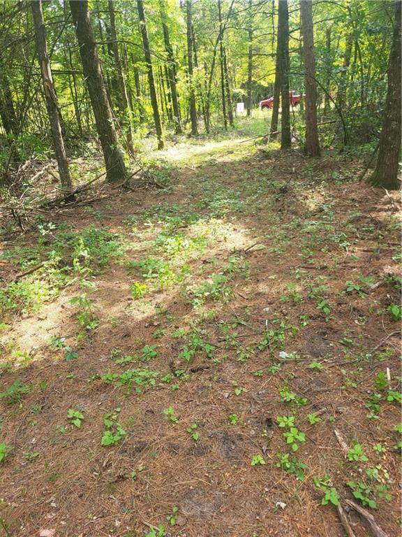 Black River Falls, WI 54615,Lot 4 Betty Lane