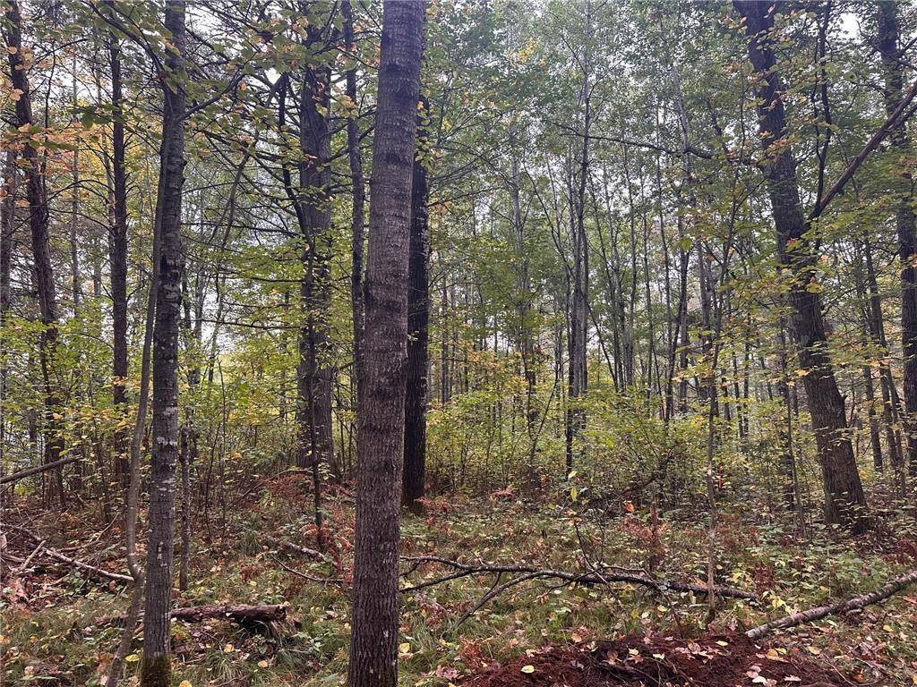 Hayward, WI 54843,Lot 2 Sabin Road
