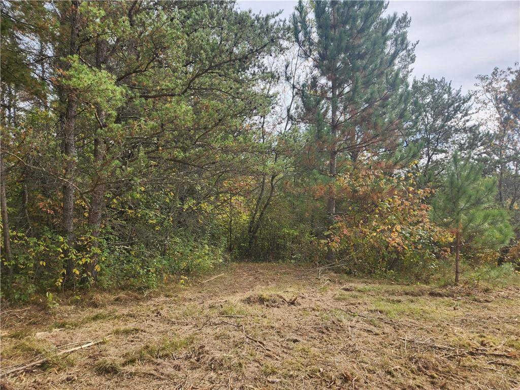 Chetek, WI 54728,Lot 1 & 2 of CSM 1548 County Road  F