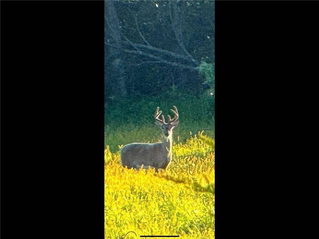 Arkansaw, WI 54721,N3953 Bear Pen Road