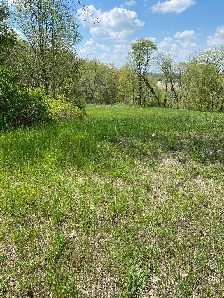 Campbellsport, WI 53010,Lt1 RED OAK DRIVE