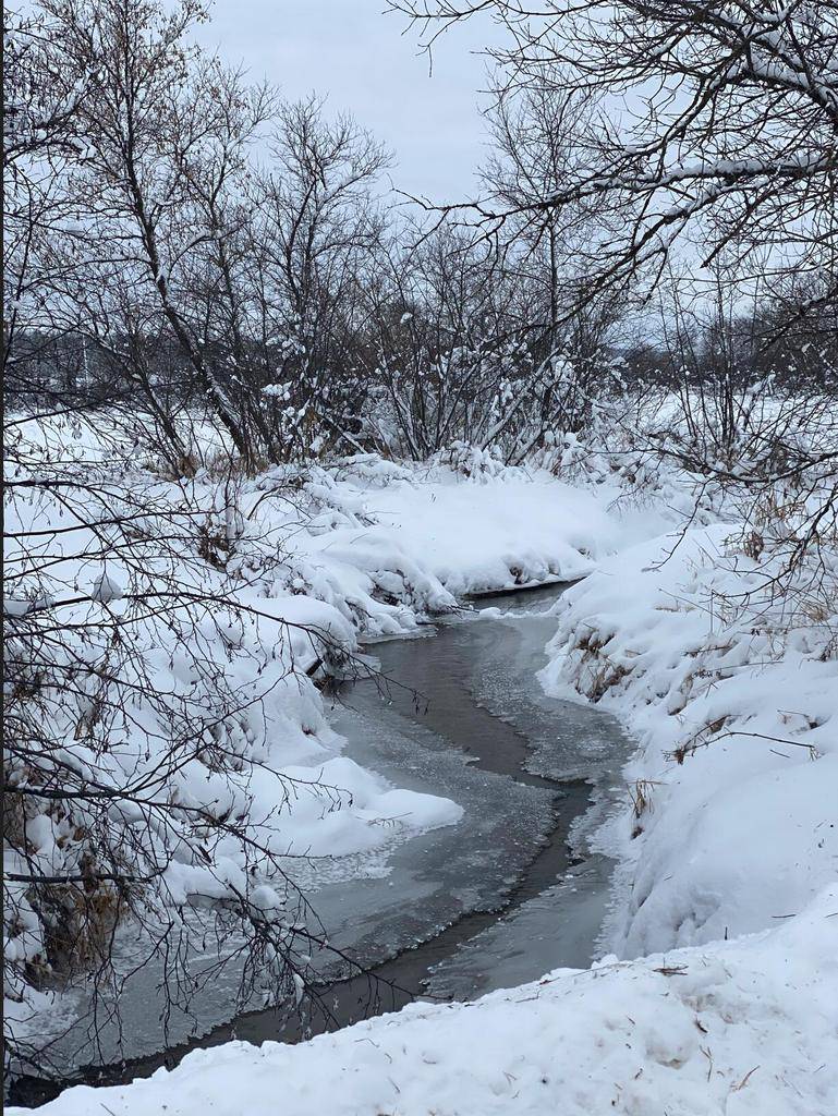 Taylor, WI 54659,0 N Trump Coulee Rd