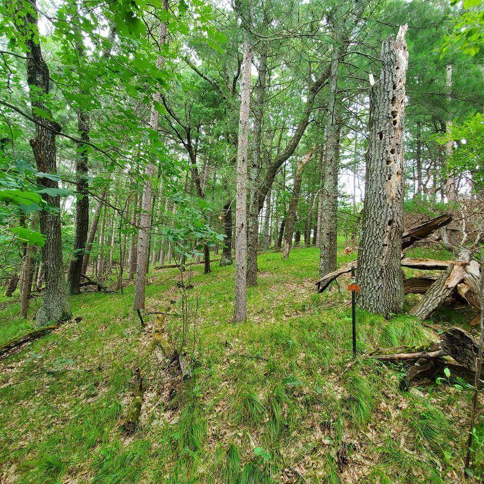 Nekoosa, WI 54457,577 17TH AVENUE