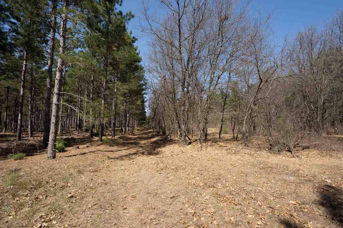 Hancock, WI 54943,Lot 18 9th Ave