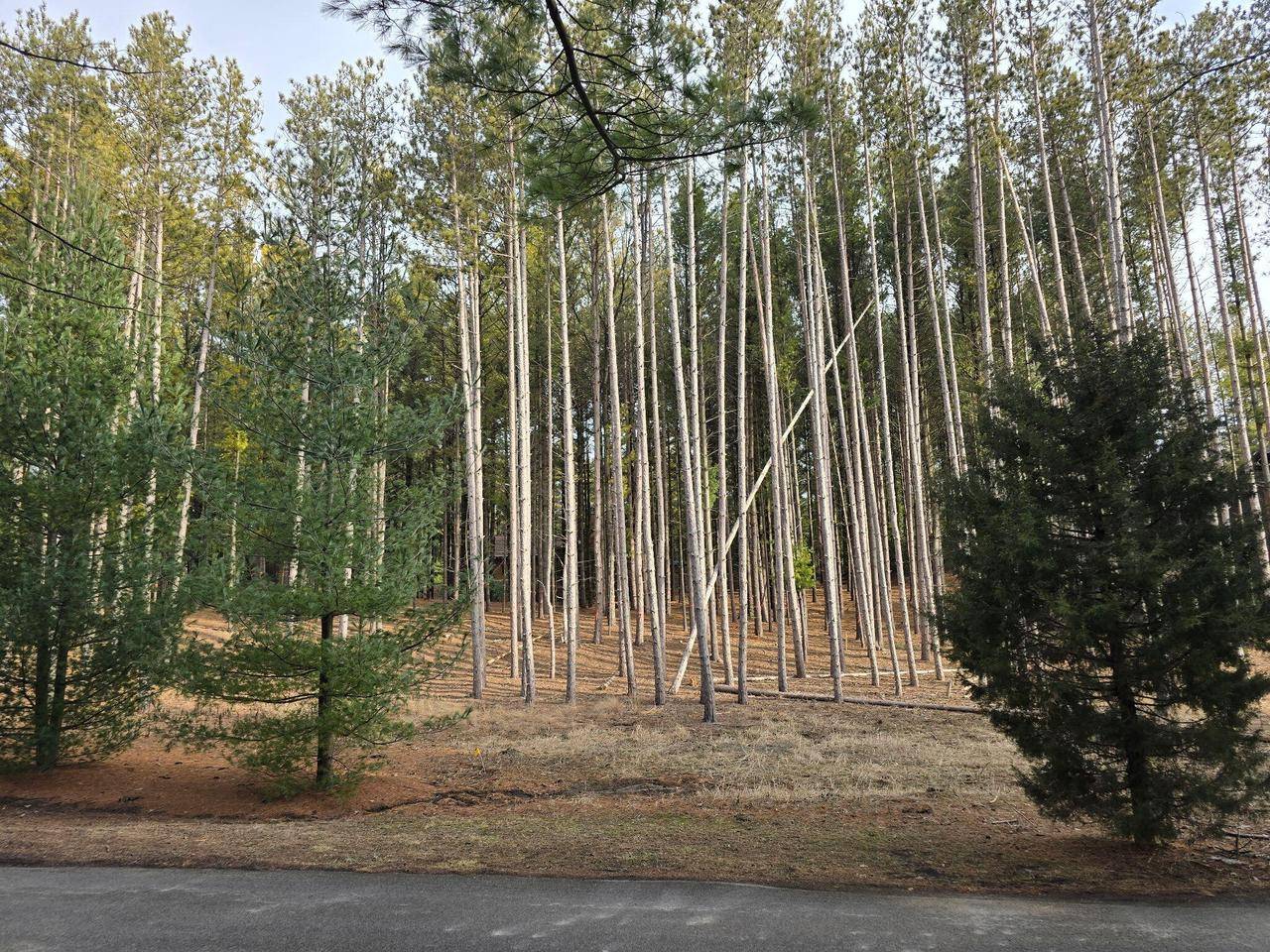 West Bend, WI 53090,7855 INDIAN LORE ROAD #15