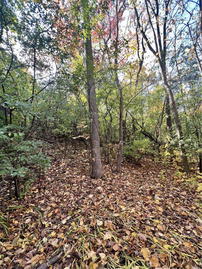 New Berlin, WI 53146,Lt2 DOWNIE ROAD