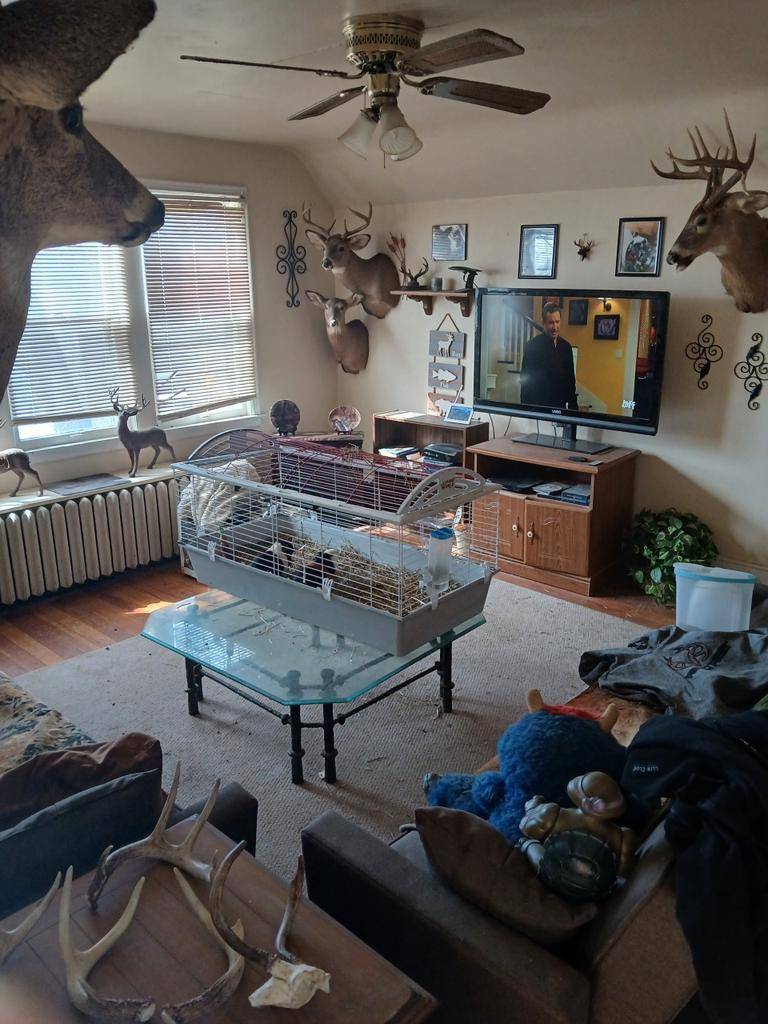 Franksville, WI 53126,7634 6 Mile ROAD